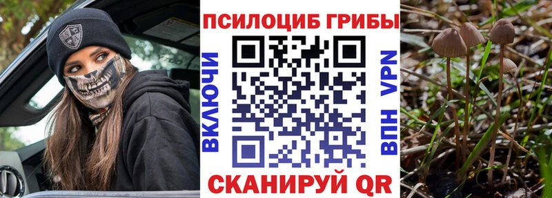 Галлюциногенные грибы мухоморы Ачхой-Мартан