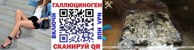 Псилоцибиновые грибы GOLDEN TEACHER  где продают наркотики  Ачхой-Мартан 